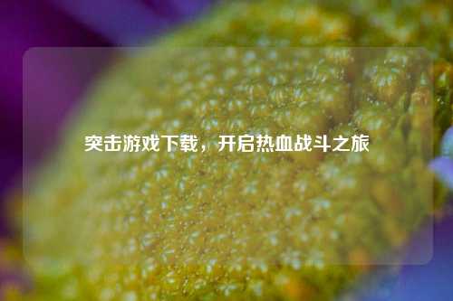 突击游戏下载,开启热血战斗之旅