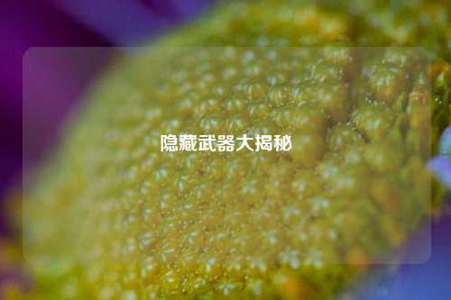 隐藏武器大揭秘