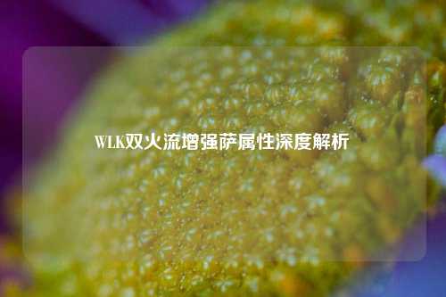 WLK双火流增强萨属性深度解析