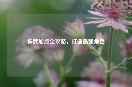 神武加点全攻略，打造最强角色