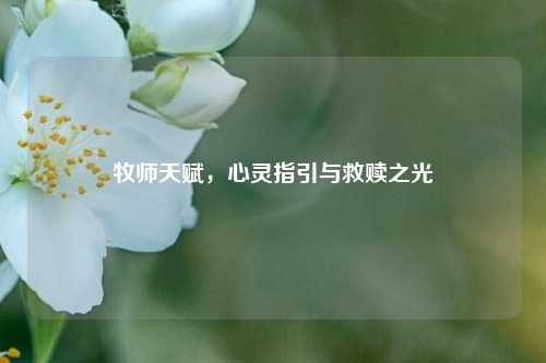 牧师天赋,心灵指引与救赎之光