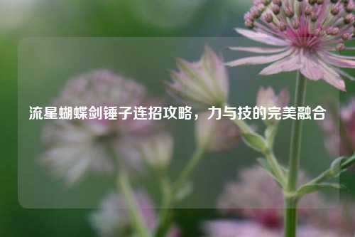 流星蝴蝶剑锤子连招攻略,力与技的完美融合
