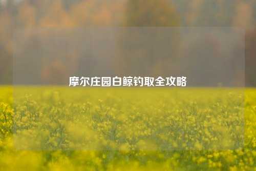摩尔庄园白鲸钓取全攻略