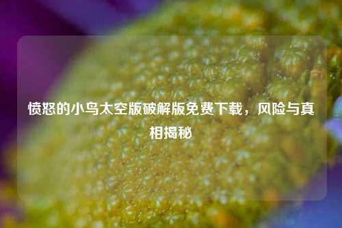 愤怒的小鸟太空版破解版免费下载,风险与真相揭秘