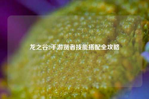龙之谷2手游贤者技能搭配全攻略