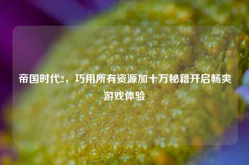 帝国时代2,巧用所有资源加十万秘籍开启畅爽游戏体验
