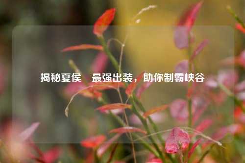 揭秘夏侯惇最强出装,助你制霸峡谷