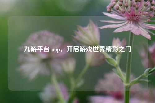 九游平台 app,开启游戏世界精彩之门