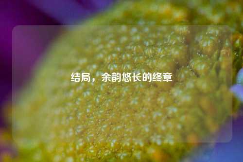 结局,余韵悠长的终章