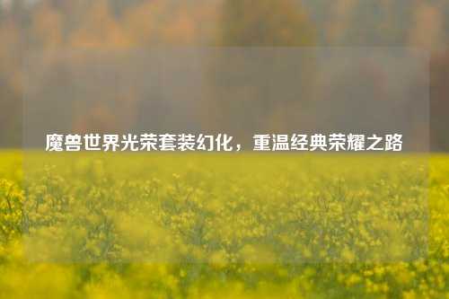 魔兽世界光荣套装幻化，重温经典荣耀之路