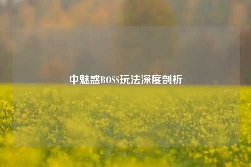 中魅惑BOSS玩法深度剖析