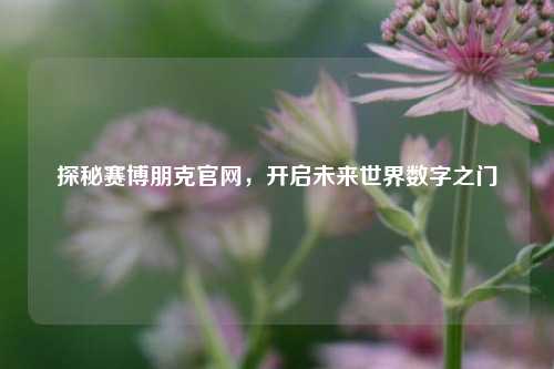 探秘赛博朋克官网，开启未来世界数字之门