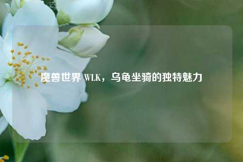 魔兽世界 WLK，乌龟坐骑的独特魅力