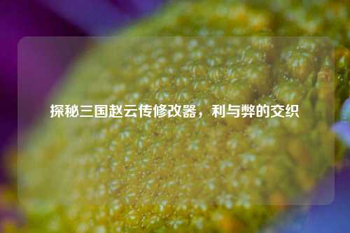 探秘三国赵云传修改器,利与弊的交织